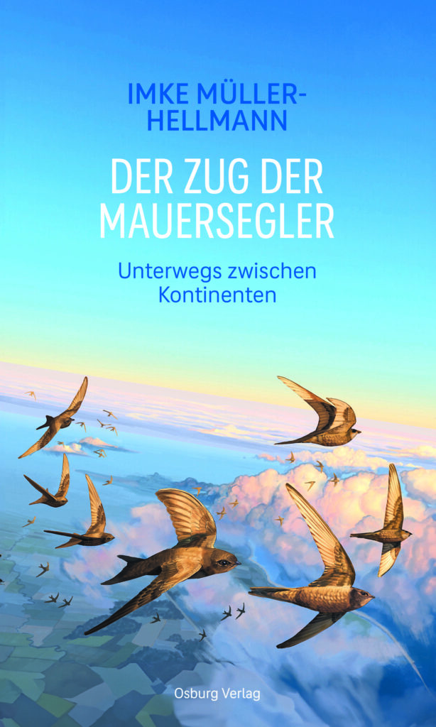 Buchcover mit gezeichneten Mauerseglern im Flug von oben über Wolken und Landschaft